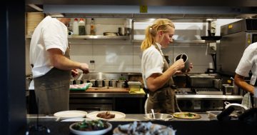 Five Minutes with Heather Kovacs, Beltana Farm