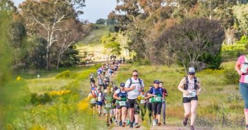 Stromlo Running Festival - SRF5