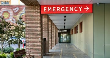 Government apologises after mother dies due to errors at Canberra Hospital