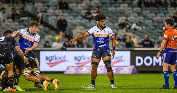 The Brumbies and the Waratahs prepare for a season-defining battle