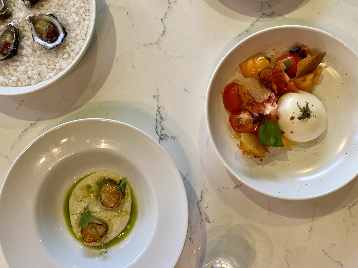 Three plates on a table: one with oysters, another with scallops and a green oil and the last with burrata and tomatoes.