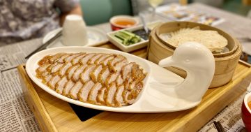 Little Steamer delivers big flavours in a warm embrace of hospitality