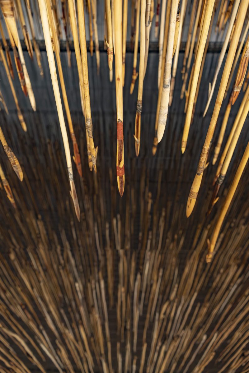 Several wooden spears and their reflection