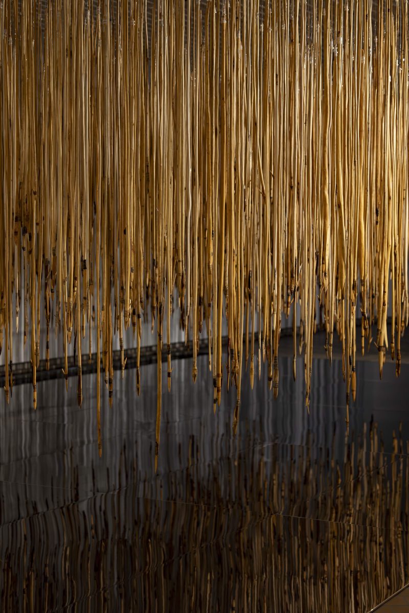 Detail of suspended spears