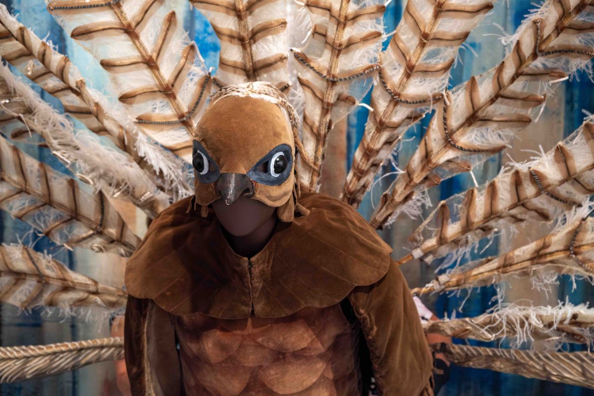 Colourful costume with feathers behind