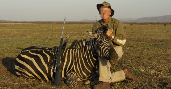 Trophy hunting import ban gains traction in federal election