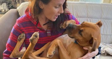 A tale of a man, his dog, and an unwelcome interloper