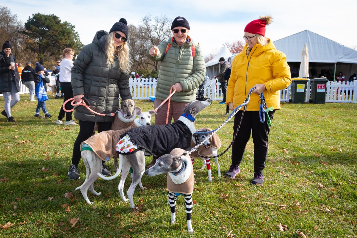Million Paws Walk