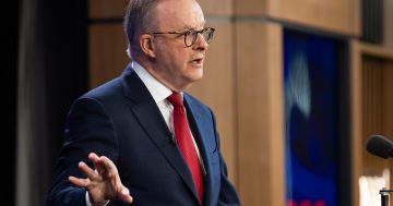 Department responsibilities tweaked in Albanese's new ministry