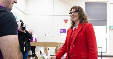 Polls point to a Labor victory, but preferences will be crucial in the battle for the crossbench