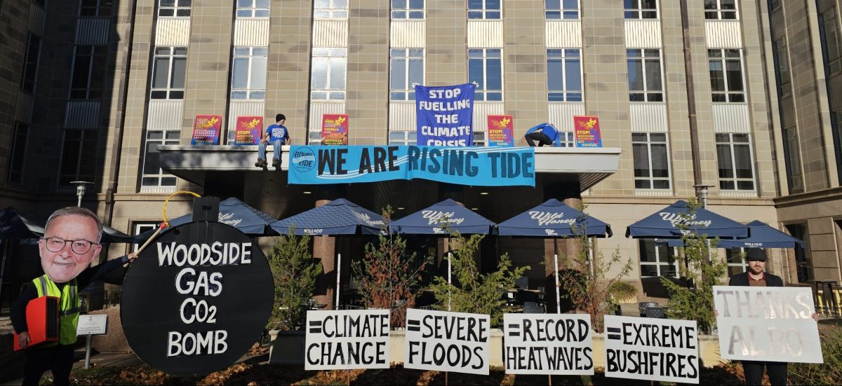 Climate protest at the department of environment. protestors on roof