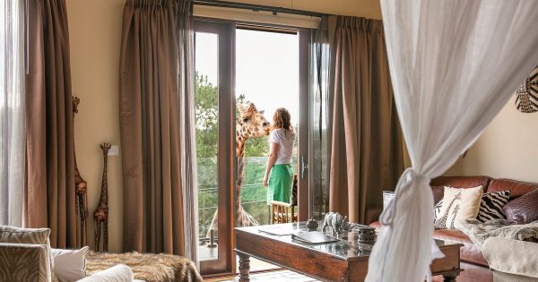 The best attractions in Canberra