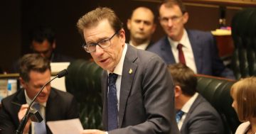 Wagga MP to introduce new law to end protections of Snowy Mountain brumbies