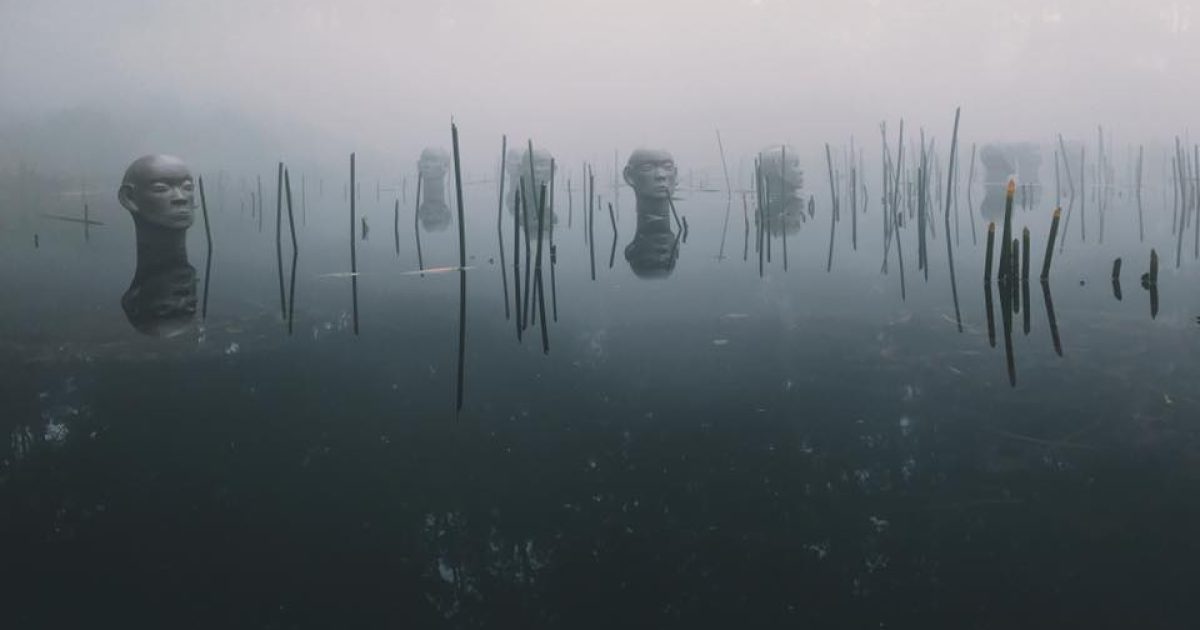 ‘Nothing too disconcerting’ found as national gallery drains its garden ponds for first time in 40 years | Region Canberra