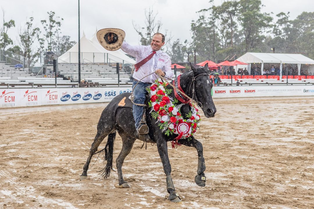 a man on a horse