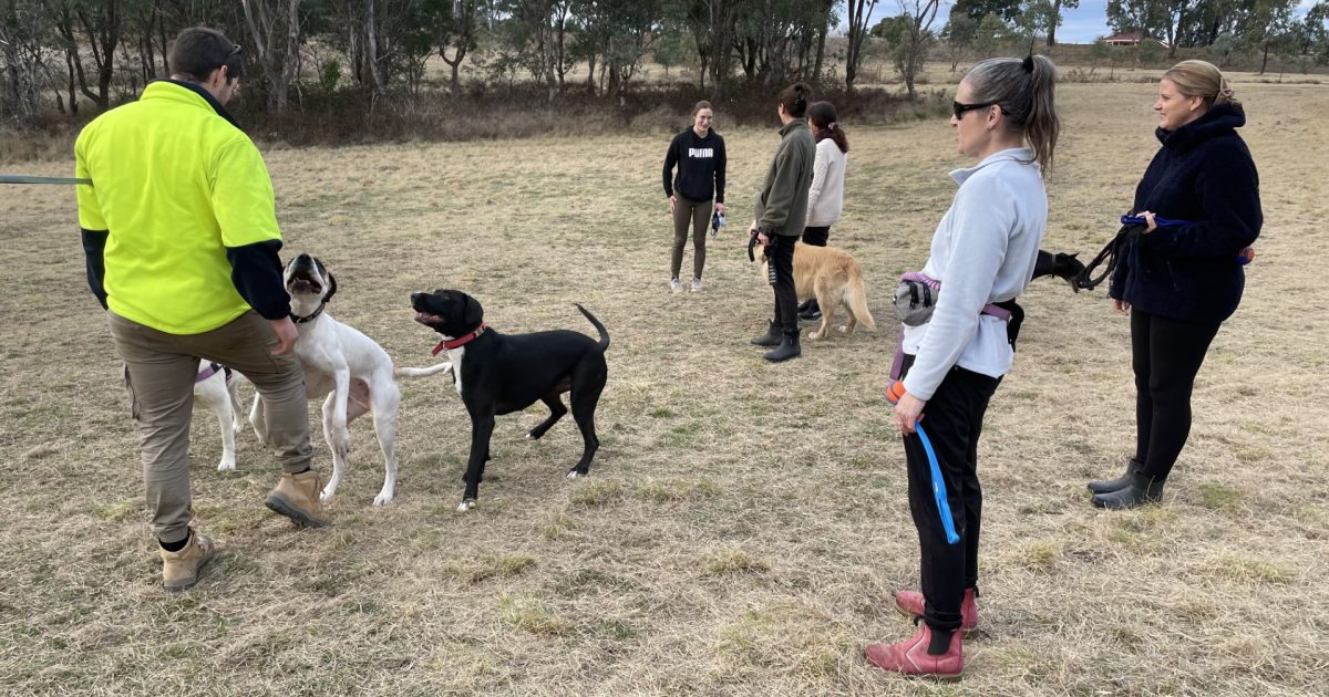 Optimism grows that Point Hut Dog Exercise Area will remain off-leash | Region Canberra