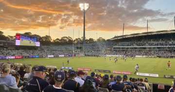 A weekend of triumph and tragedy for the Brumbies and the Raiders