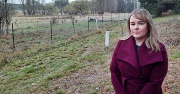 ACT Budget reaction: 'This is the Budget we had to have'