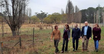 Pocock calls on governments to close CSIRO Ginninderry land deal