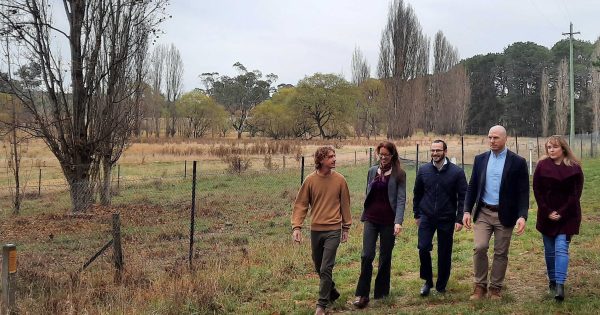 Pocock calls on governments to close CSIRO Ginninderry land deal