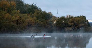Things to do in Canberra this week (16 May to 22 May)