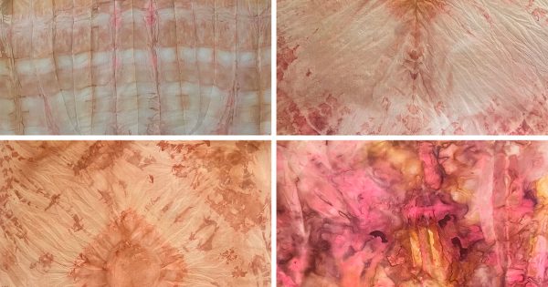 Exhibitions Opening at Tuggeranong Arts Centre