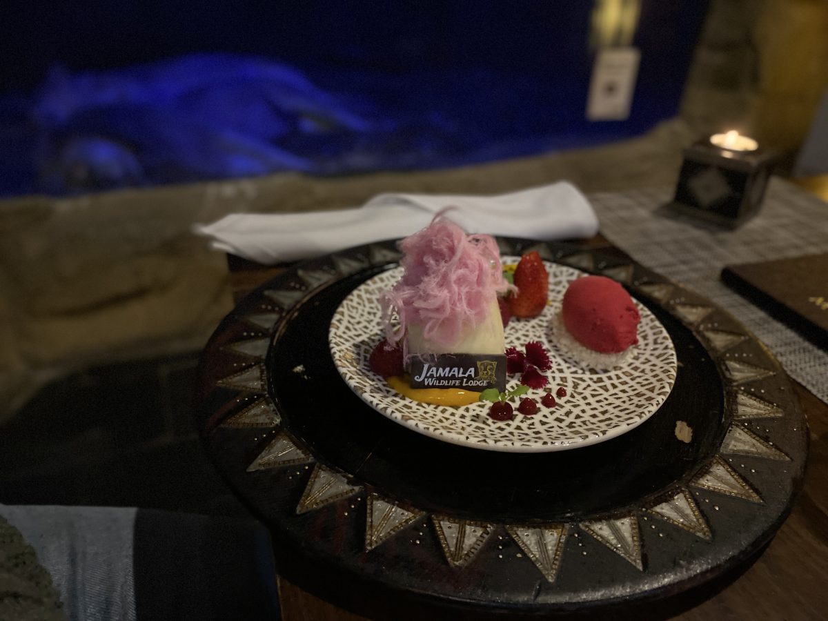 An impressive dessert with a white lion napping in the background.