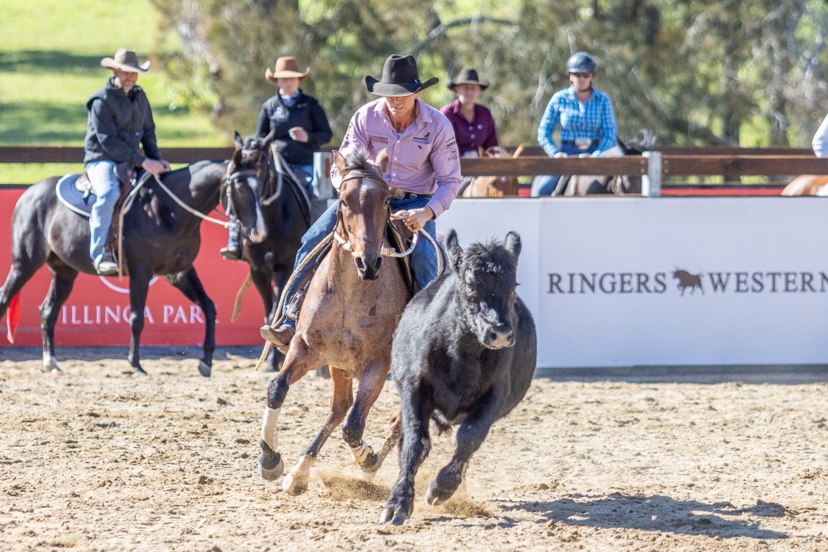 Campdrafting at Willinga Park. Photo: Supplied.