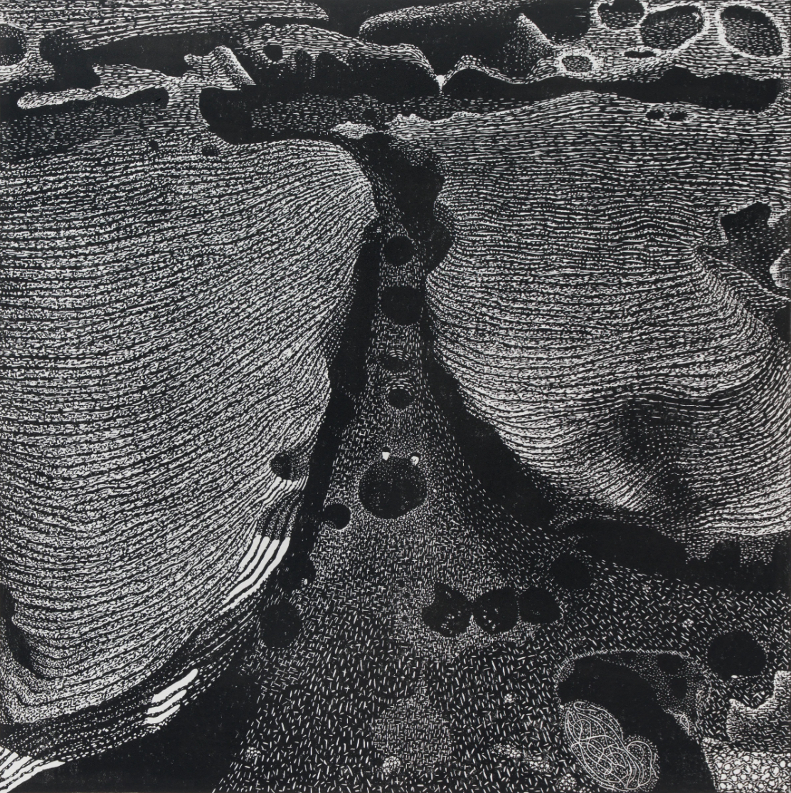 An abstracted landscape format black and white print
