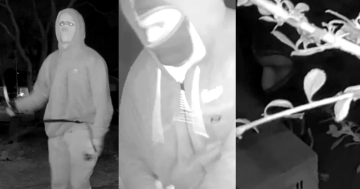 Police seek alleged gun and baseball bat-wielding home invaders