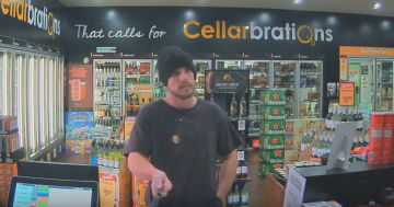 WATCH: Knife-point robbery in Gungahlin bottle shop captured on CCTV, police say