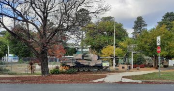 Canberra Services Club looks to Manuka return after lease battle won