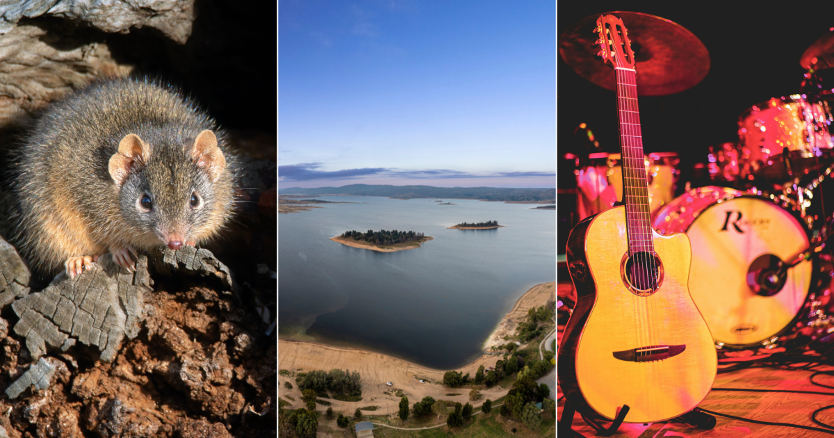 QUIZ: What’s the new sculpture in Jindabyne? Plus 9 other questions | Region Canberra