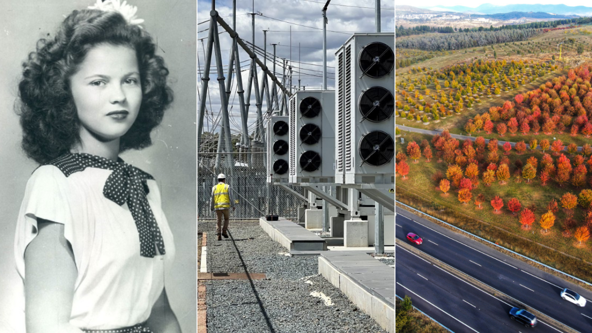 Shirley Temple, battery, road