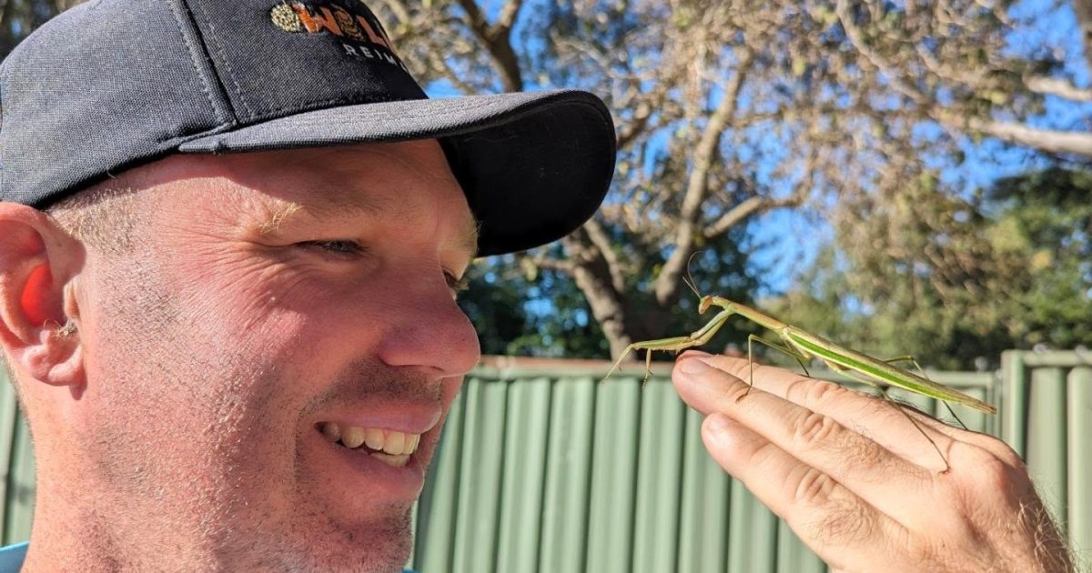 Wildlife Reimagined’s Brendan Sheean explains the wonders of nature | Region Canberra Wildlife Reimagined’s Brendan Sheean explains the wonders of nature | Region Canberra