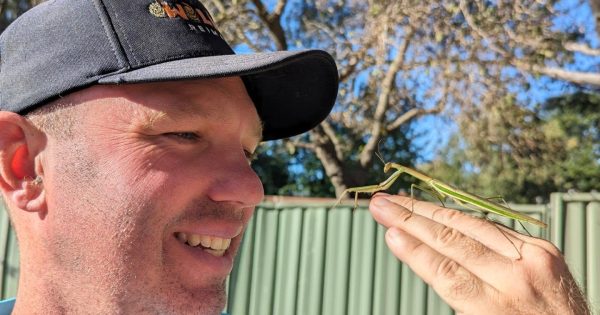 Wildlife Reimagined's Brendan Sheean explains the wonders of nature