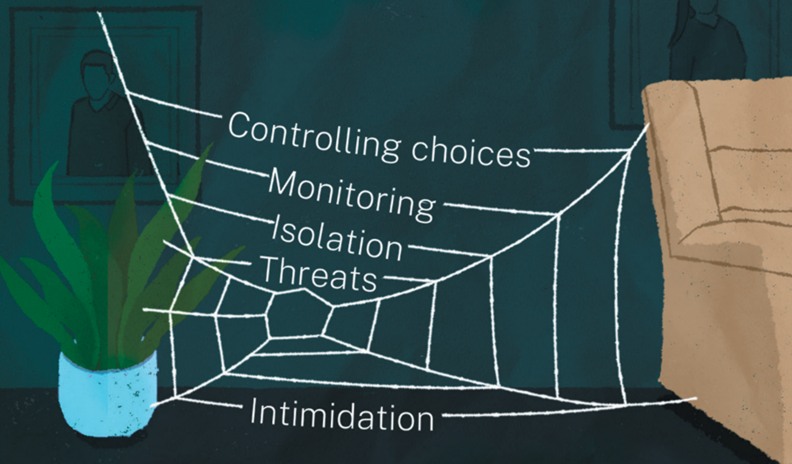 coercive control spider web