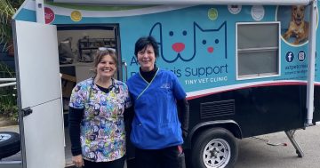 Mobile Tiny Vet Clinic presses 'pause' on services for vulnerable pet owners