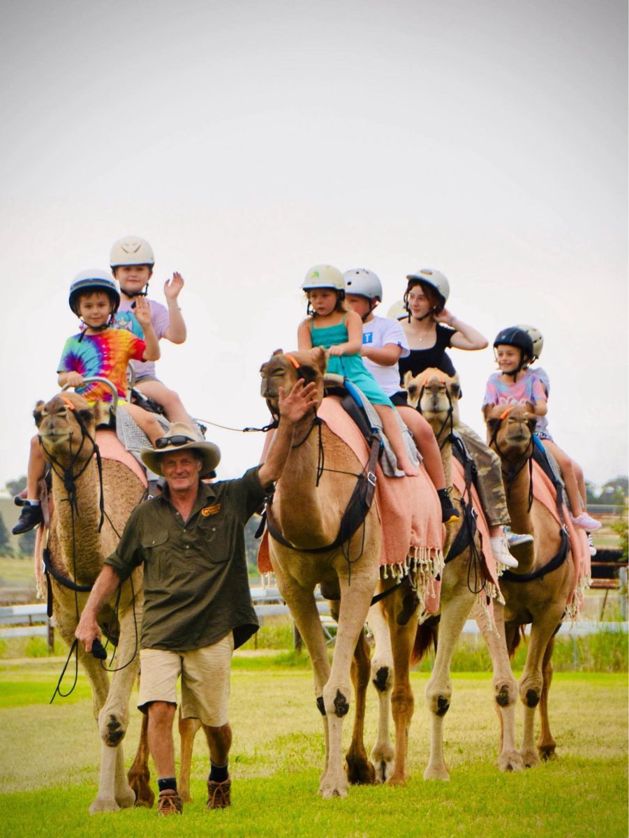 Camel ride