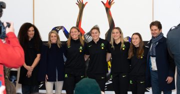 Matildas 2023 World Cup squad to be Portrait Gallery's first commissioned artwork of a sports team