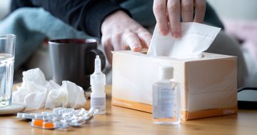 Cases may have peaked in Canberra's record-breaking flu season, but is it over?