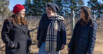 The best eats of 2025 as decided by Region's food writers