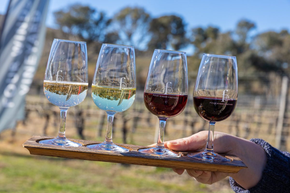 Person holding a paddle of four wine tasting glasses at a vineyard