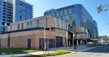 Fears for CIT teaching staff, courses as number of corporate hires lashed