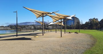 Acton Waterfront's temporary park complete but Ngamawari not far away