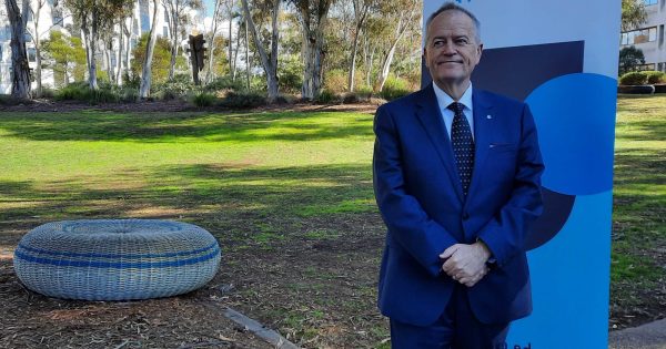 Shorten cuts through with his practical university designed for times like these