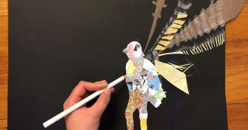 Kids Workshop: Make a Layered Lyrebird Drawing