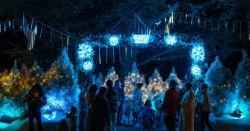 Things to do in Canberra this week (27 June - 3 July)