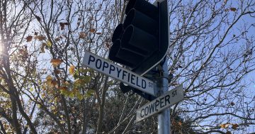 New Dickson street name harks back to suburb's important wartime contribution