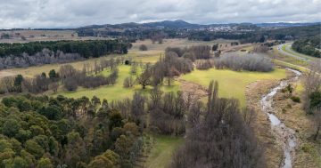 Construction gets underway on new heritage walking trail for North Belconnen
